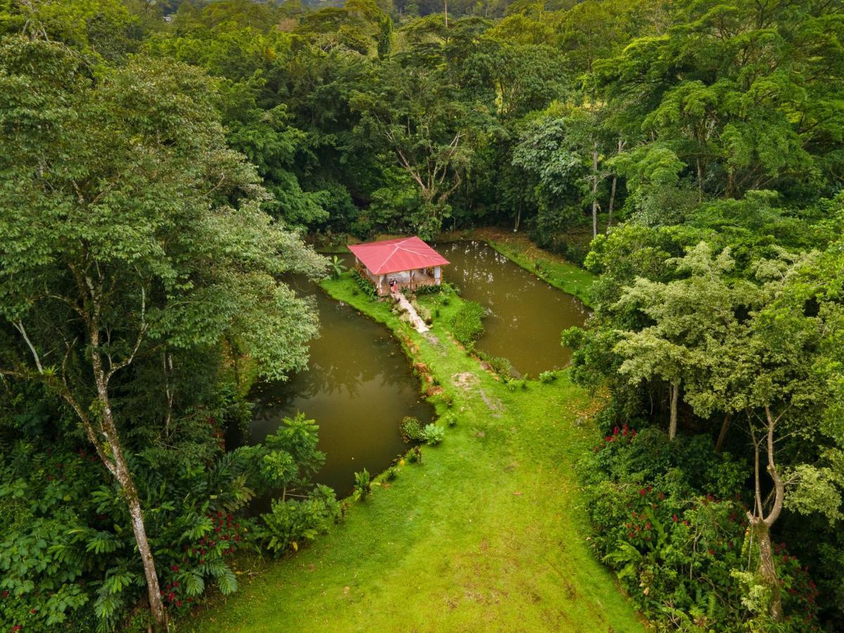 Ara Ambigua Lodge Sarapiqui Ngoại thất bức ảnh
