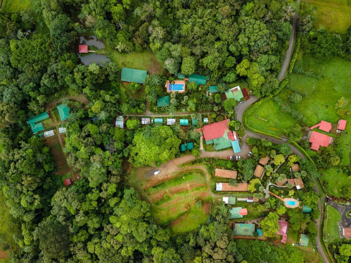 Ara Ambigua Lodge Sarapiqui Ngoại thất bức ảnh