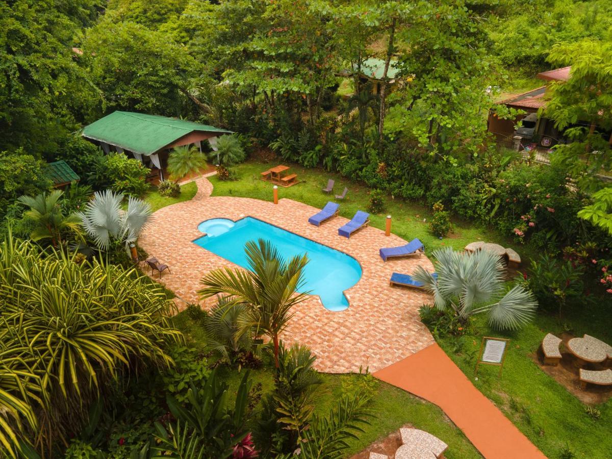 Ara Ambigua Lodge Sarapiqui Ngoại thất bức ảnh