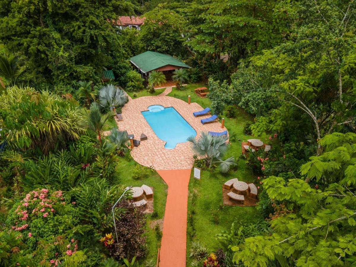 Ara Ambigua Lodge Sarapiqui Ngoại thất bức ảnh