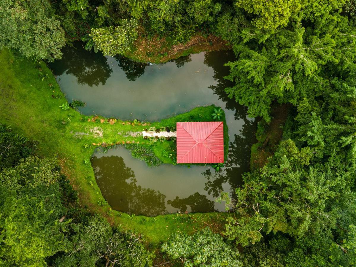 Ara Ambigua Lodge Sarapiqui Ngoại thất bức ảnh