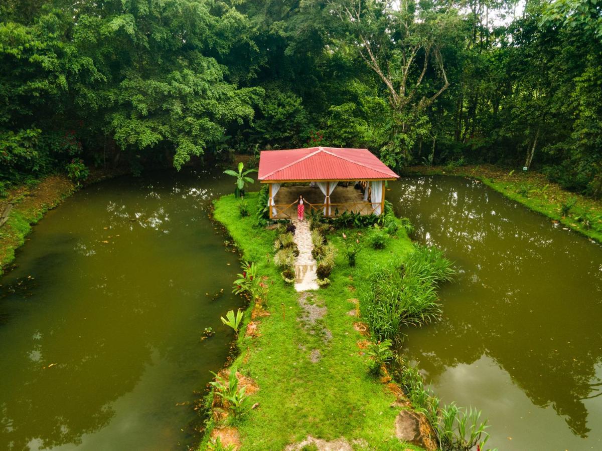 Ara Ambigua Lodge Sarapiqui Ngoại thất bức ảnh