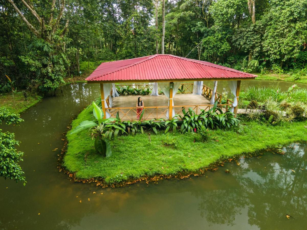 Ara Ambigua Lodge Sarapiqui Ngoại thất bức ảnh