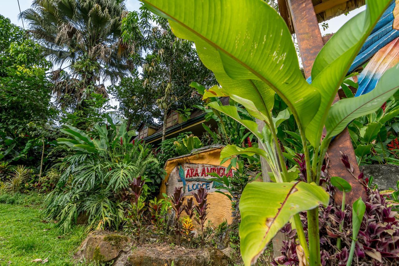 Ara Ambigua Lodge Sarapiqui Ngoại thất bức ảnh