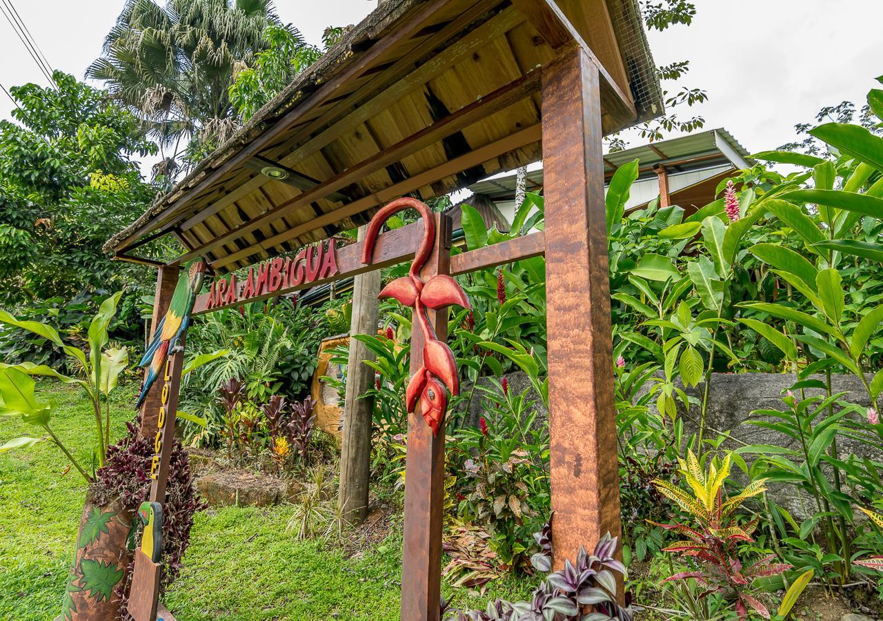 Ara Ambigua Lodge Sarapiqui Ngoại thất bức ảnh