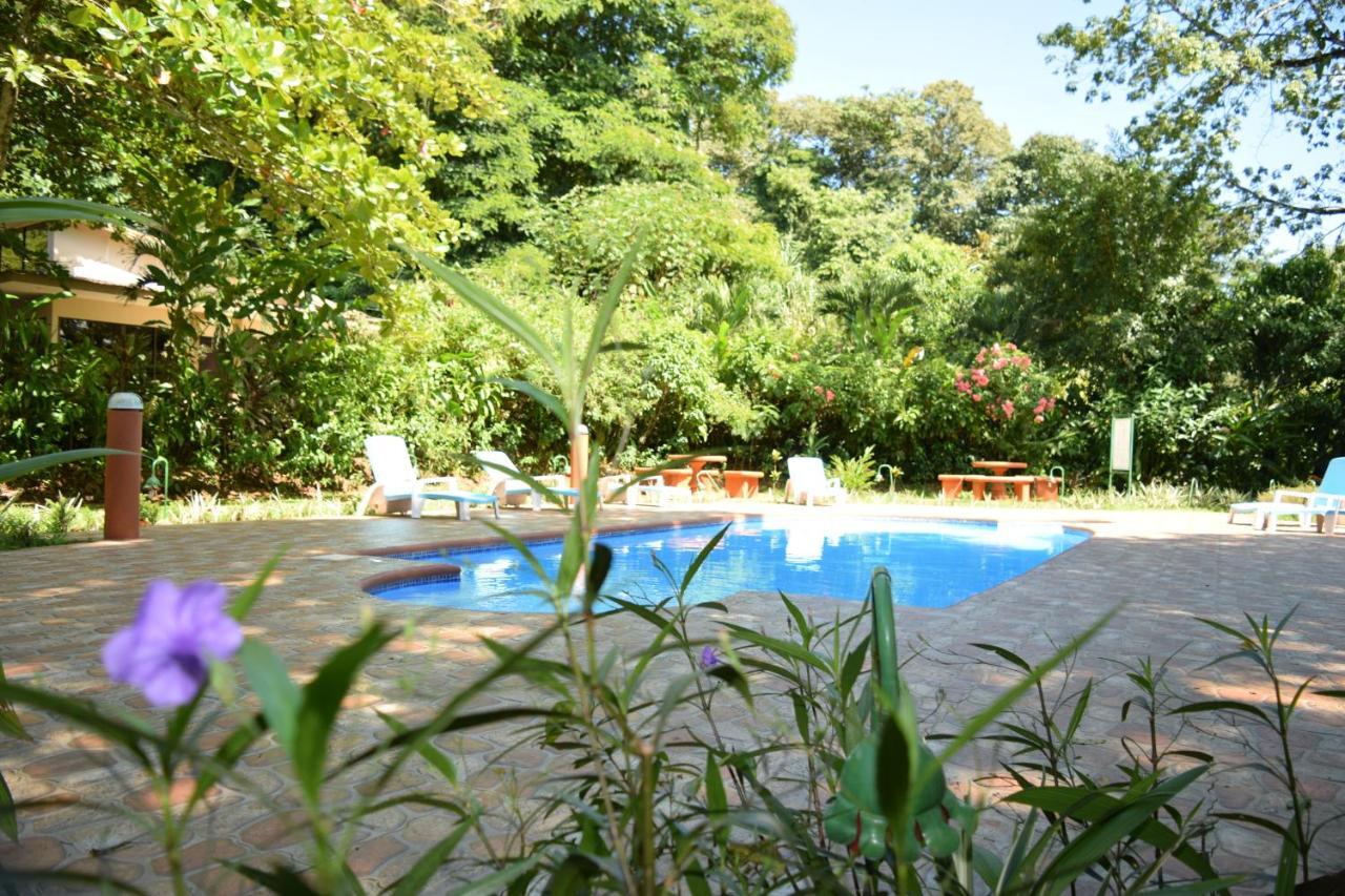 Ara Ambigua Lodge Sarapiqui Ngoại thất bức ảnh