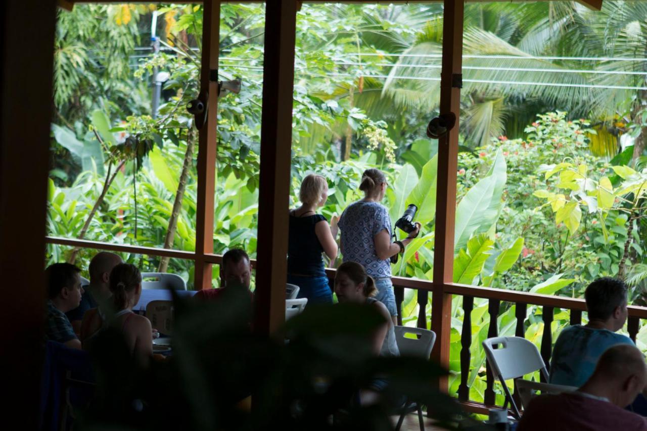 Ara Ambigua Lodge Sarapiqui Ngoại thất bức ảnh